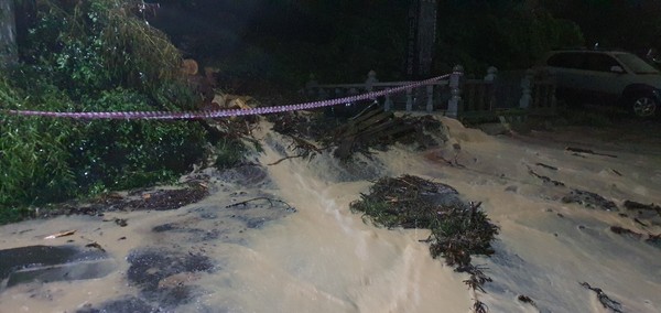 7월 23일 기장향교 인근 모습. 앞선 폭우에 쓰러진 소나무 앞으로 거대한 물줄기가 생겼다. /독자제보
